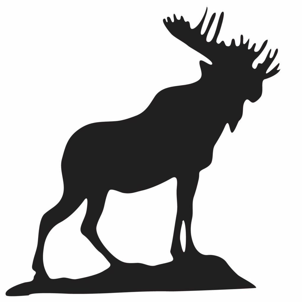 Moose Calendar Moose Lodge 904